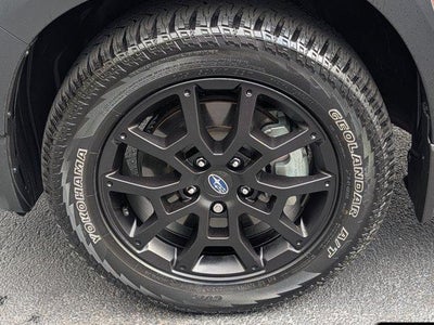 2025 Subaru Crosstrek Wilderness
